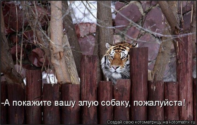 Этот взгляд