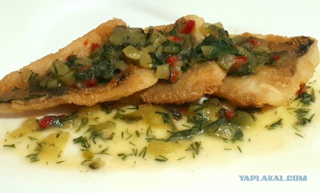 Жаренный берш с медово-огуречным соусом.