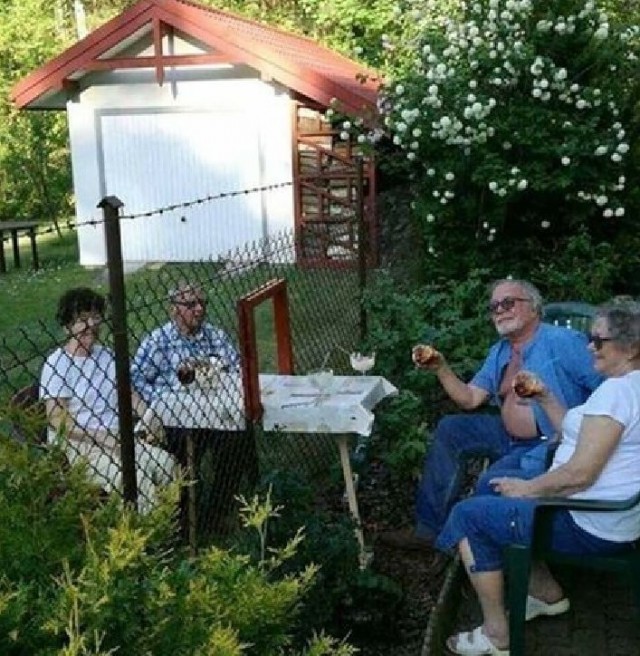 Скотсети и прочие интернеты 03.06.20