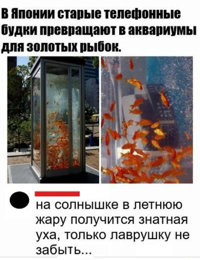 Картинки с надписями и всякие жизненные фразы 9.01.21
