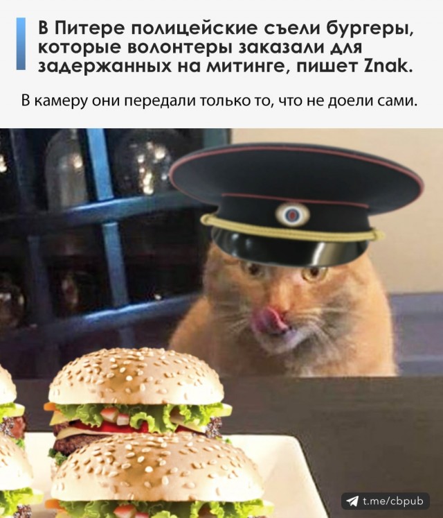В Петербурге полицейские съели еду для участников протестных акций