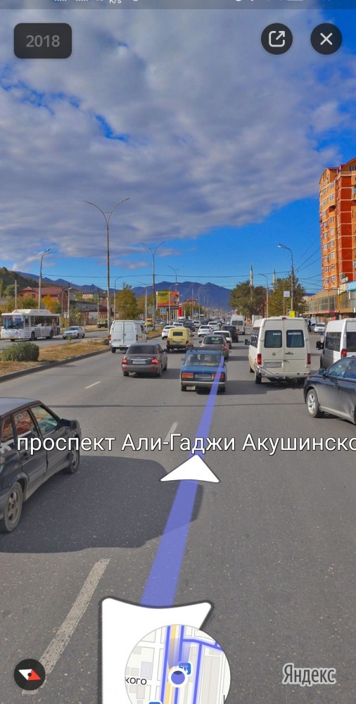 Дагестанский дрист