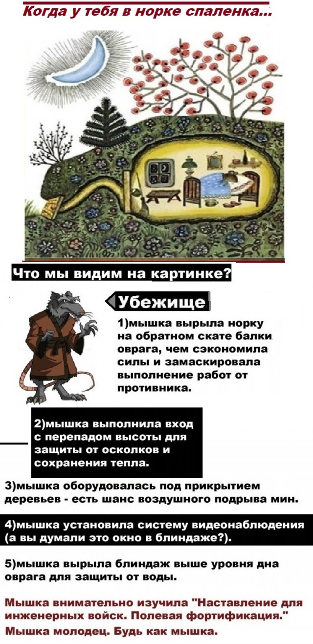 Картинки с надписями и всякие жизненные фразы 17.03.21
