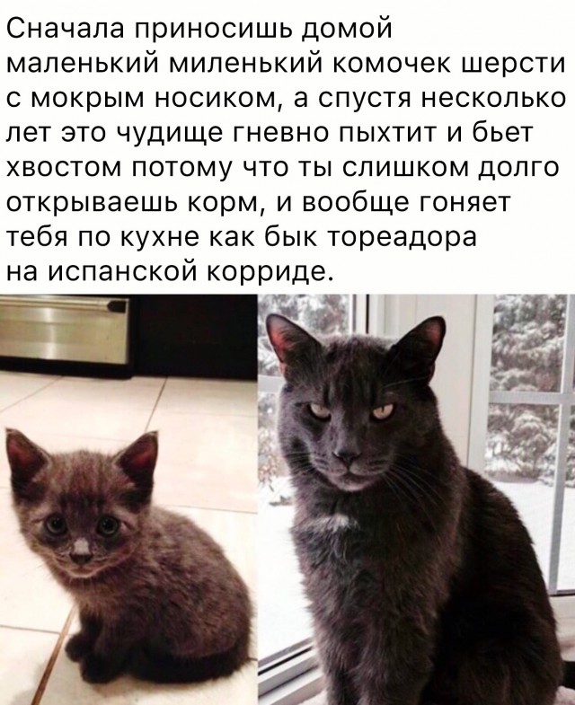 Так себе картинки 24.03.21