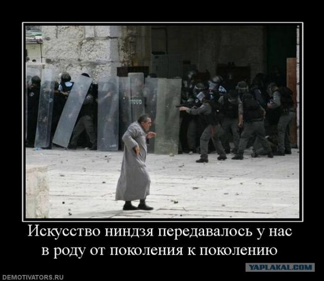 Городские ниндзя