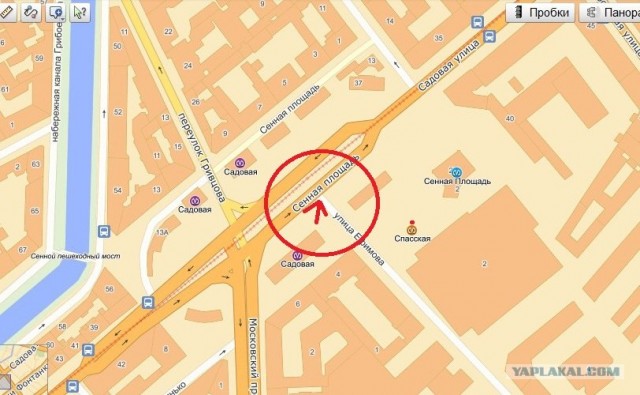 Пешеход и водитель Ford