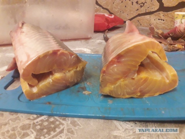 Какую самую вкусную еду вы ели в своей жизни?