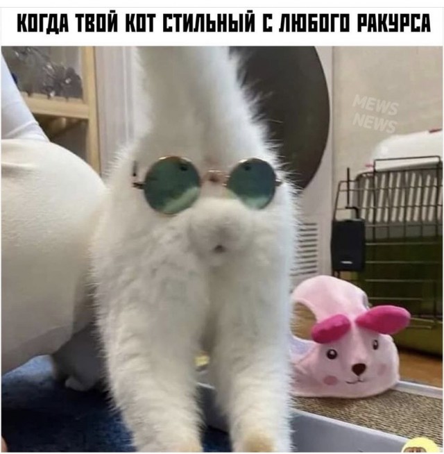 Так себе картинки 17.10.21