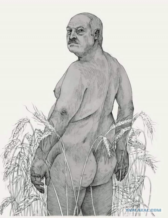 Критиковавшие Кадырова блогеры заявили о похищении родственников