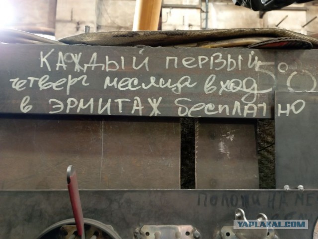 Настенная жизнь обычного завода