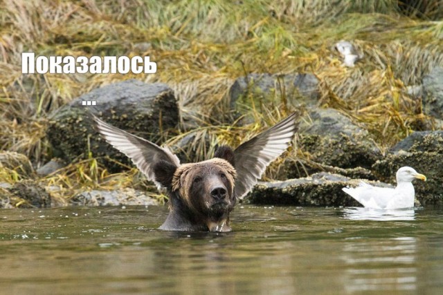 Так себе картинки 12.05.22