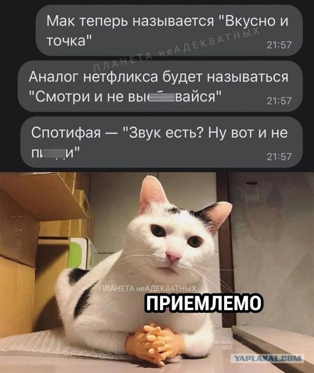 «Они же могли назваться «Маком»: владелец владивостокской сети «Еда и точка» решил судиться с новым McDonald’s