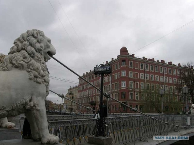СПб глазами уставшего туриста...