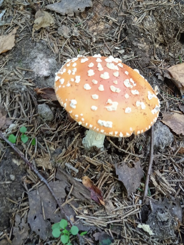 Женский взгляд работницы ЗАГСа на современные отношения