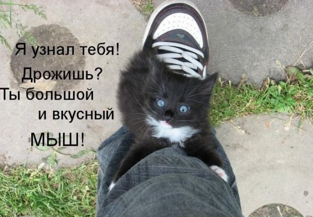 Коварный убийца