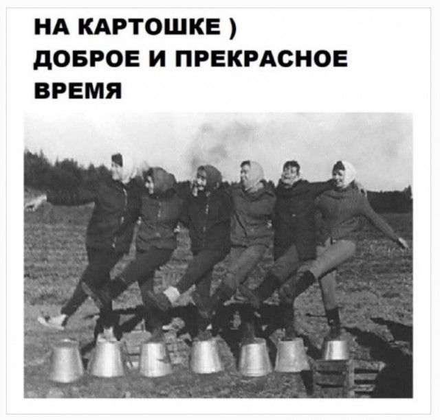 Так себе картинки 26.01.23