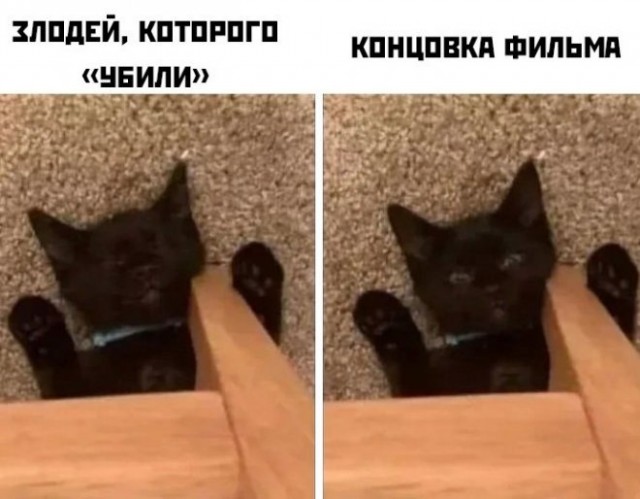 Картинки и мемы для настроения - 131