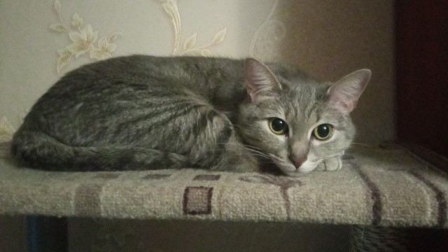 Совпало же? В котовторник