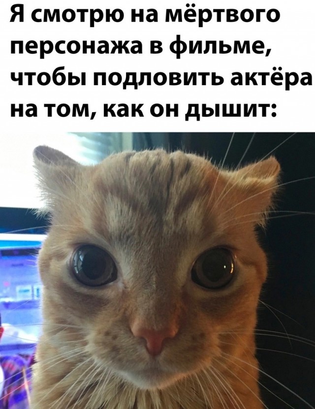 Нуштош 01.03.23