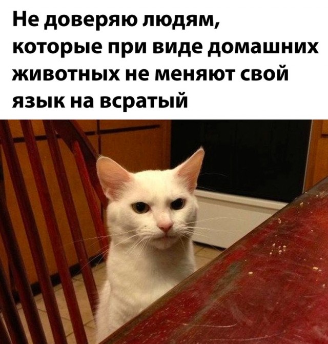 Немного картинок для настроения - 161
