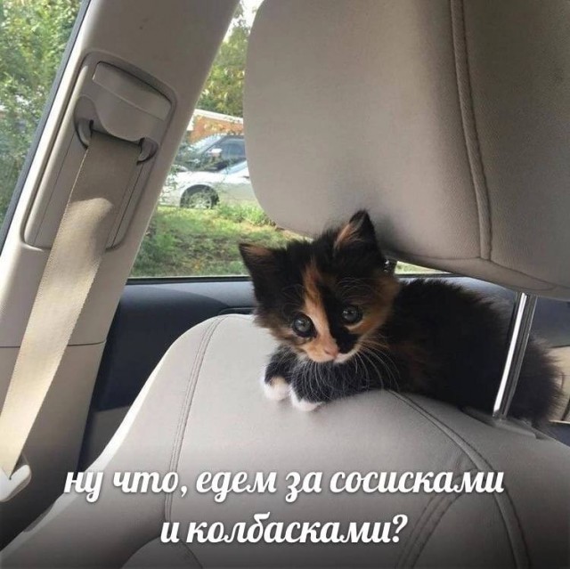 Картинки и мемы для настроения - 187