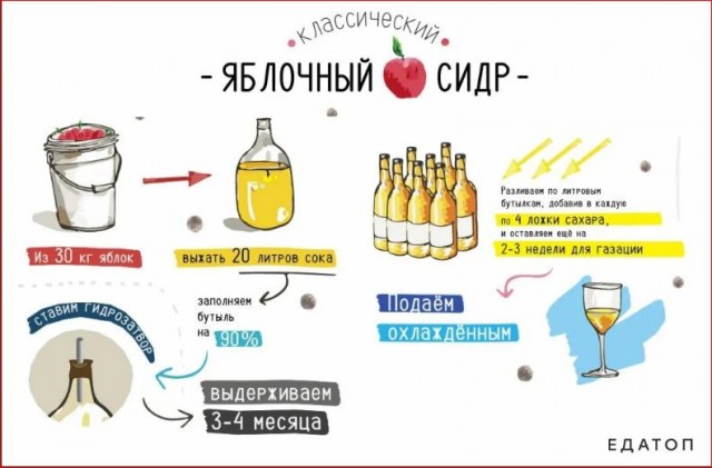 Победная поступь идиотизма по планете – том 16