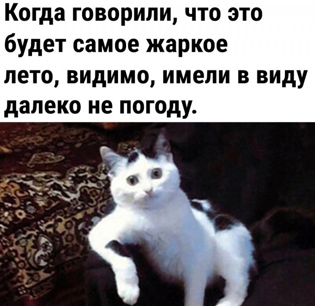 Юмор в картинках и без