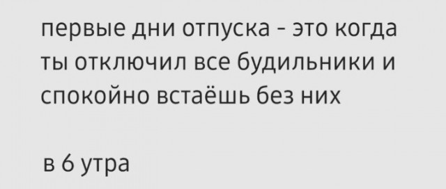 Всего понемногу. От 03.08.23