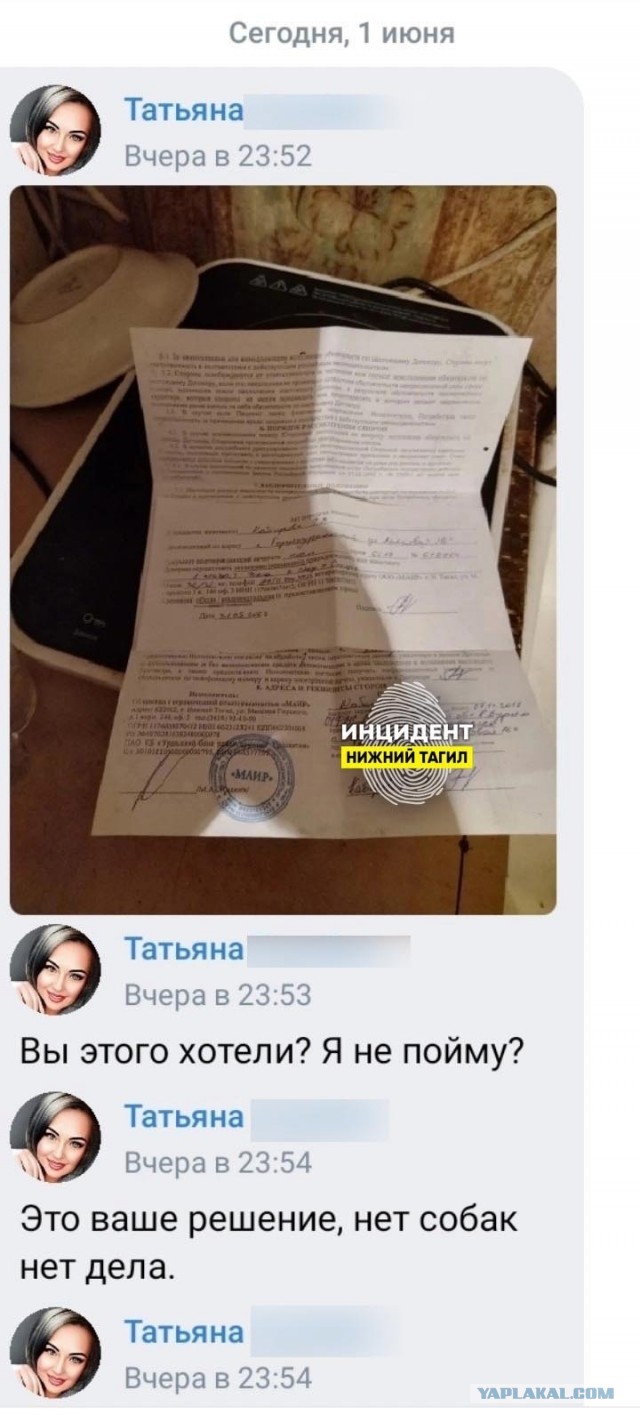 Хозяйка агрессивной бойцовской собаки заплатит покусанному свердловскому школьнику