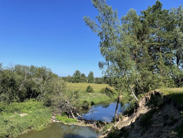 Красивые фото ЯПа