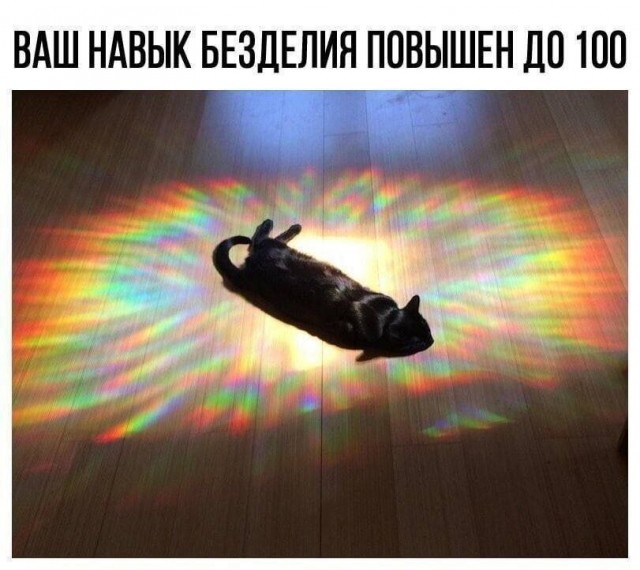 Уровень пофигизма, к которому надо стремиться