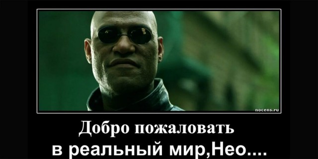 В Барселоне накануне прошел митинг движения "Птиц не существует"