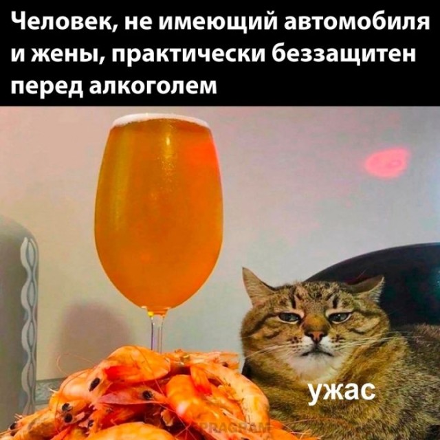 Веселые картинки к маленькой пятнице (28.08)