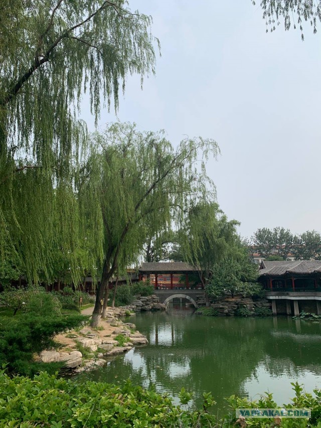 Китай. Пекин-Бэйдайхэ 20024 China.  Beijing-Beidaihe 20024 中国。北京北戴河 20024