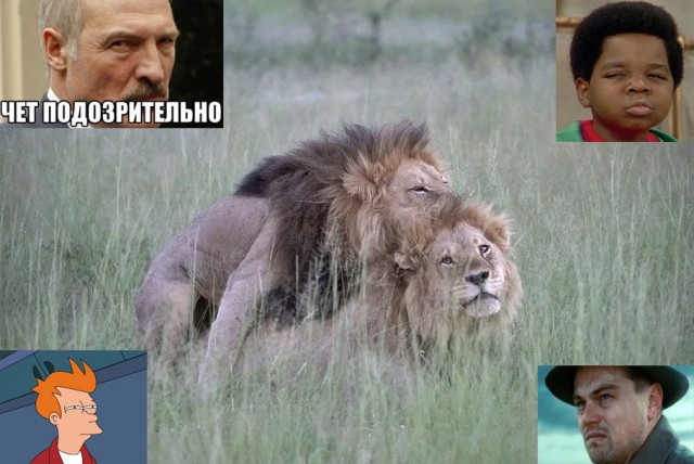 Лео 50!