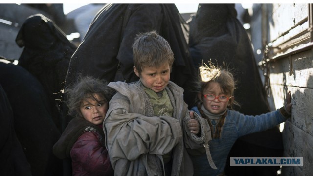 Обстановка во дворце Башара Асада в Дамаске