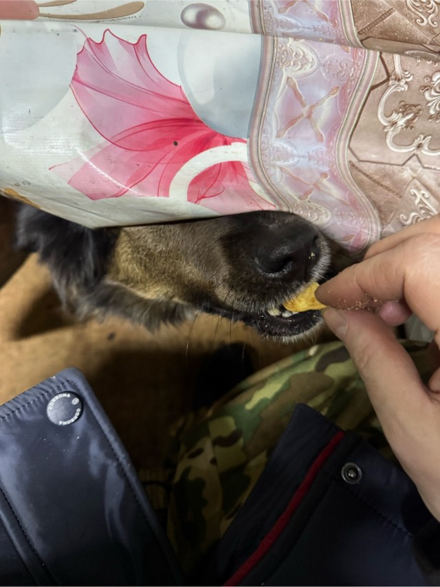 Буч к СобакоЧетвергу