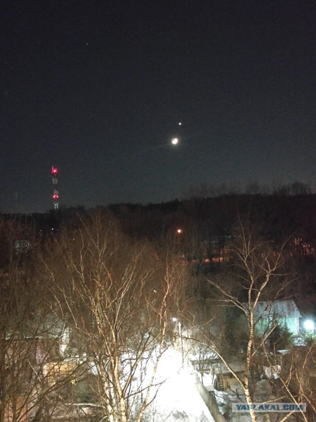 Венера в самом соку