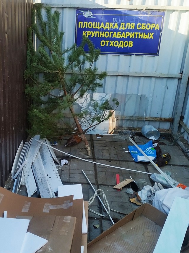 Так себе картинки 20.01.25