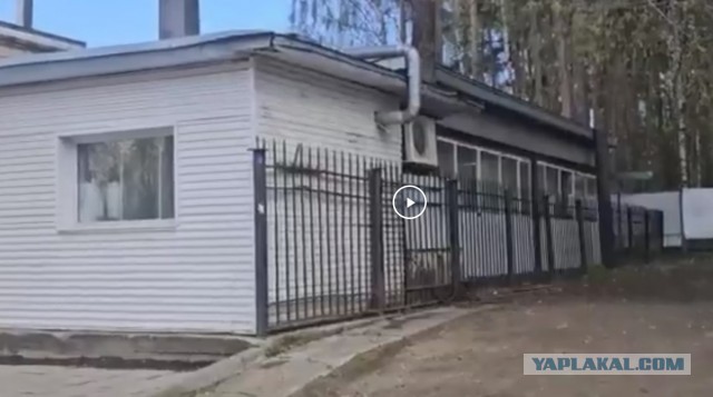 Новые подробности гибели восемнадцатилетней девушки в Перми