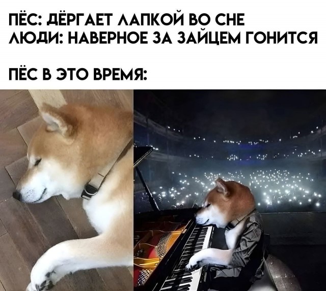 Так себе картинки 15.05.25