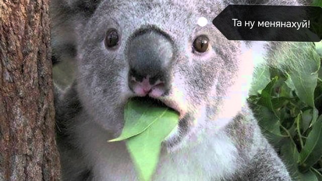 Правда, почему не хотят жениться и создавать семью