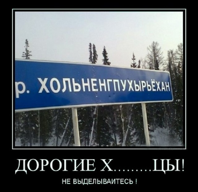 Так себе картинки 29.07.25