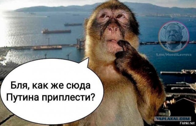 Целую страну можно снять в аренду за $70 тысяч в сутки (около 5,5 млн рублей)