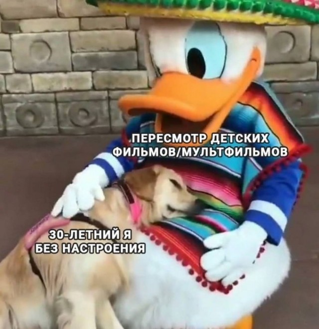 Картинки для деградации 25 (разной степени свежести)
