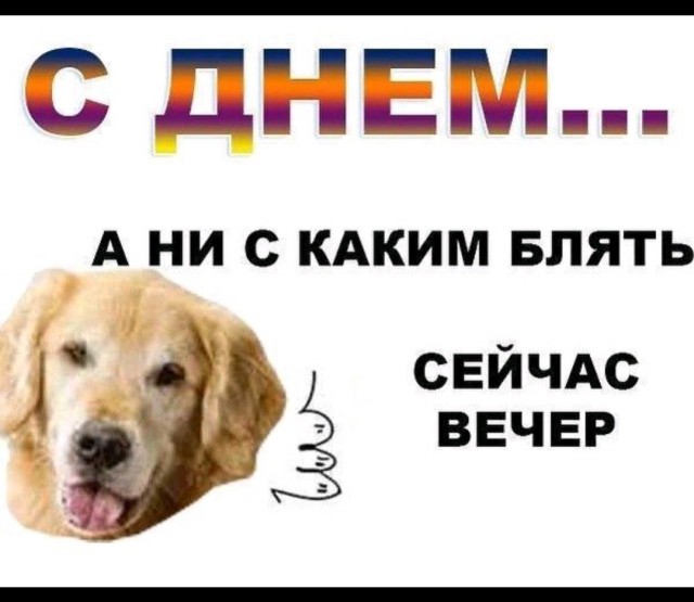 Вроде и жалко Никиту, а вроде — и на х@р пошёл он, действительно