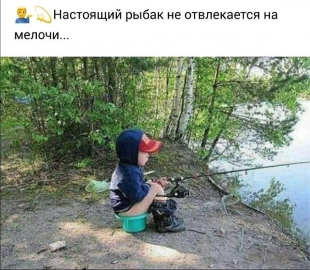 Картинок немного в среду утром