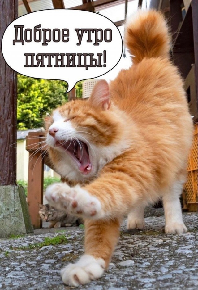 Пятница пришла