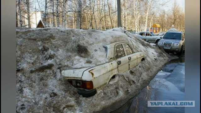 Парковку во дворах Петербурга предложили сделать платной