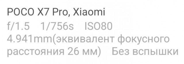 Айфон или Самсунг?